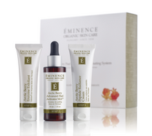 Load image into Gallery viewer, Arctic Berry Peel & Peptide Illuminating System