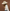 Blake Wide Brim Fedora
