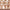 SilkMilk Gradual Self Tanning Body Milk